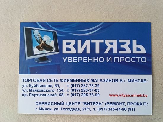 Карманный календарик. Витязь. 2011 год