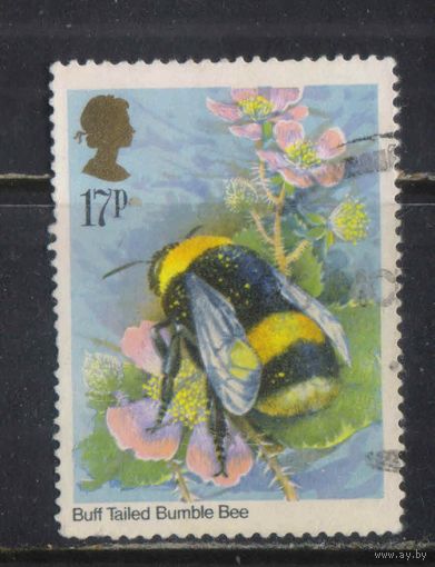 Великобритания 1985 EII Шмель #1022