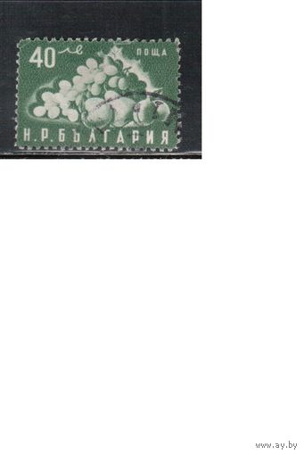 Болгария-1951, (Мих.792),  гаш.  , Стандарт, Фрукты