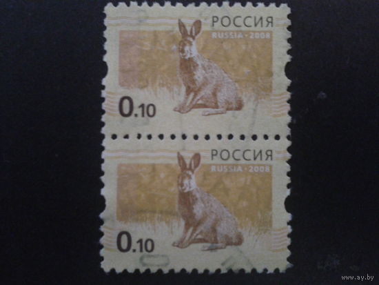 Россия 2008 стандарт заяц пара 10 коп