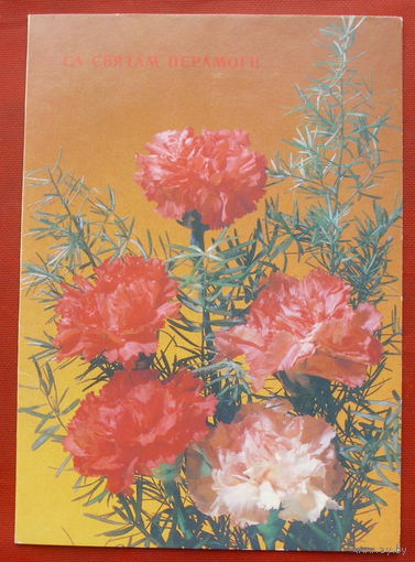 Са святам Перамогi. Чистая. Двойная. 1990 года. Дергилева. 674.