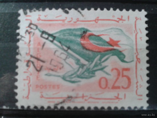 Алжир, 1963. Возвращение к миру