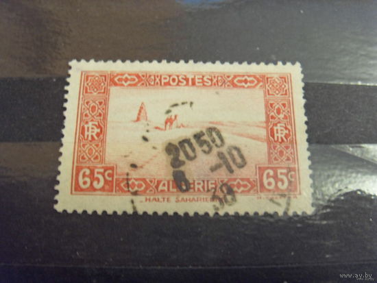 Французская колония Алжир фауна верблюд в пустыне (3-12)