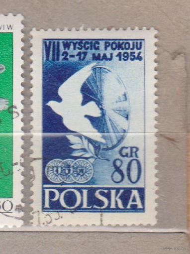Птицы Фауна Польша 1954 год лот 1076