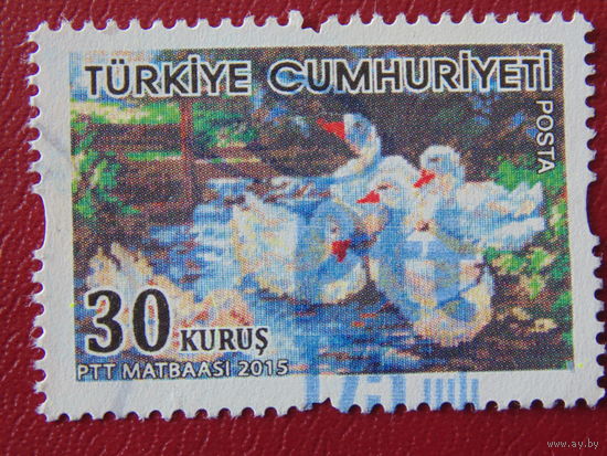 Турция 2015г.