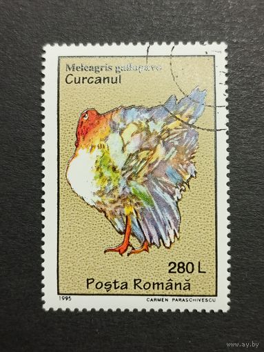 Румыния 1995. Птицы. Индейка