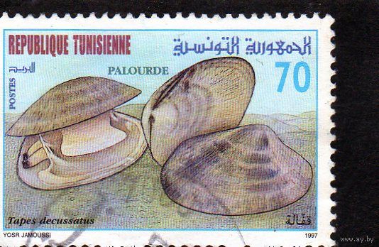 Тунис. Ящерица. 1997 г.
