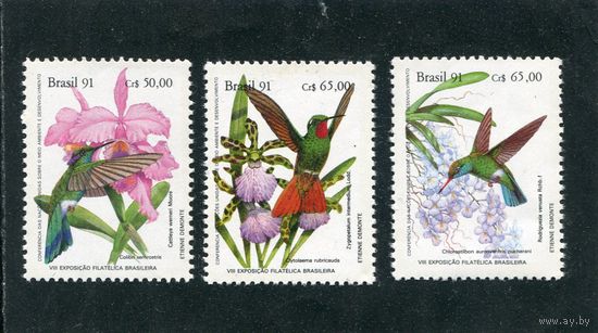 Бразилия. Охрана тропических лесов. Калибри