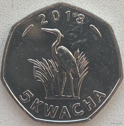 Малави 5 квача 2018 г.