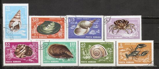 ФФ2 Румыния 1966 Ракушки гаш