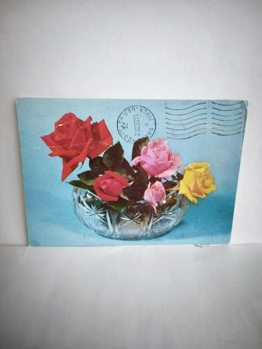 Открытка, б/у. 1979г. 8 марта. Фото Б. Круцко. 14