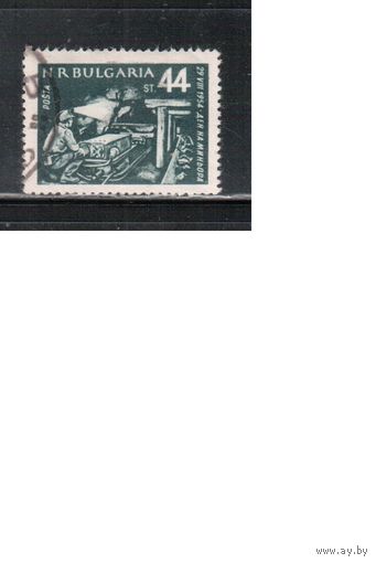 Болгария-1954, (Мих.920),   гаш. , Шахтер(одиночка)