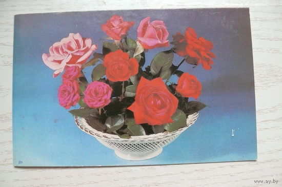 Гарнич Т., Круцко Л., С праздником 8 Марта! 1984, двойная, чистая.
