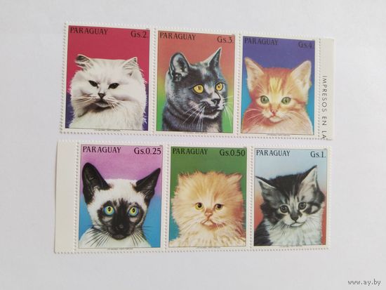 Парагвай  1984 6м коты