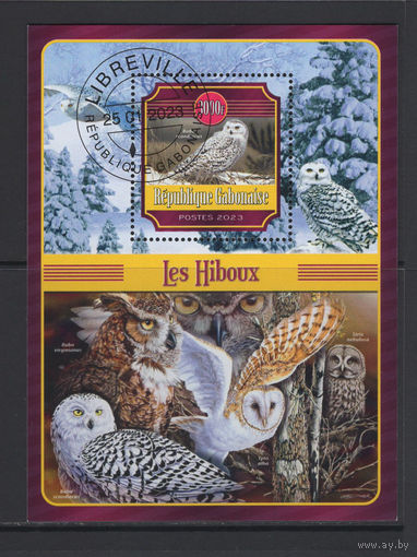 Габон 2023 Хищные Птицы Совы Фил.гашение