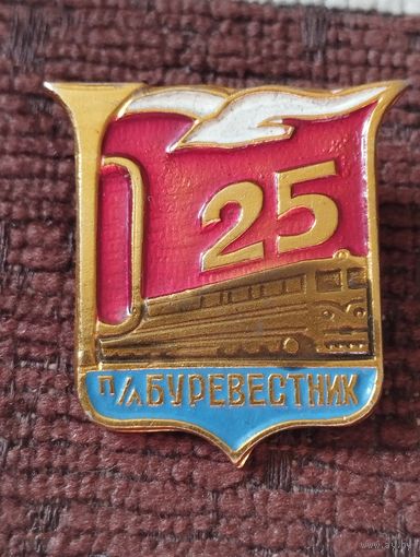 25 лет - Пионерский лагерь " Буревестник".