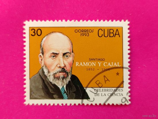 Куба. Известные люди. ( 1 марка ) 1993 года. 2-6.