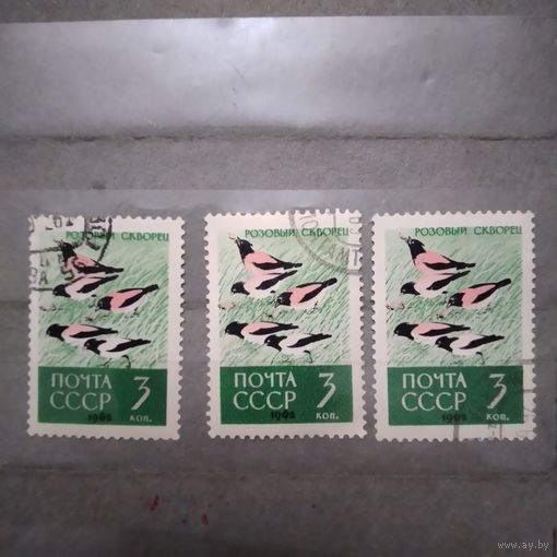 СССР, 1962,  ПТИЦЫ,  3м гашен  по 40 коп шт