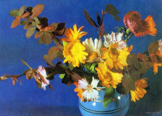Открытка. Цветы.1976.Авиа. С маркой.