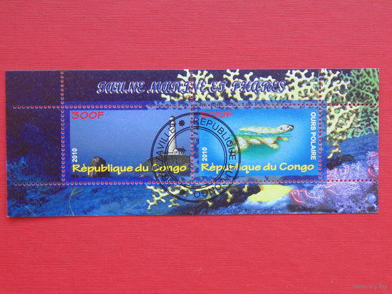 Конго 2010г. Фауна. Маяк.