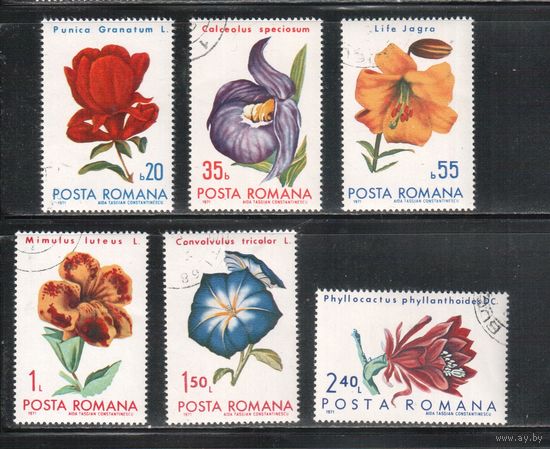 Румыния-1971, (Мих.2940-2945) гаш.  ,  Флора, Цветы (полная серия)