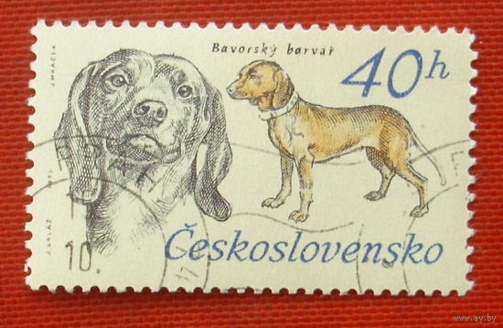 Чехословакия. Собаки. ( 1 марка ) 1973 года. 8-12.