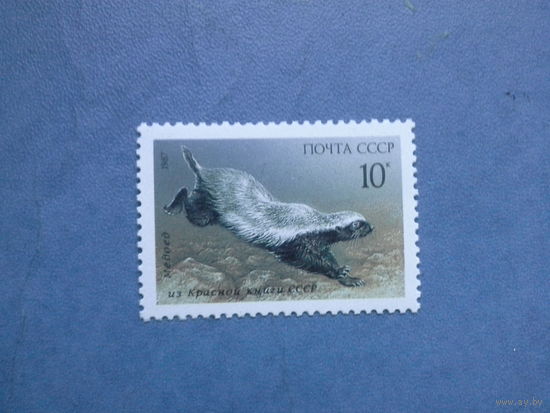 Ссср 1987. Медоед.
