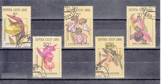 1991г. СССР 6315-9, Орхидеи, Флора цветы  5м