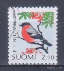 [1939] Финляндия 1991. Фауна.Птицы.Снегирь. Гашеная марка.