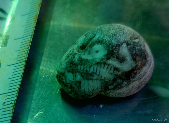 Камешек камень напоминает череп skull-shaped stone