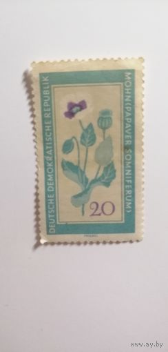 ГДР 1960. Лекарственные растения