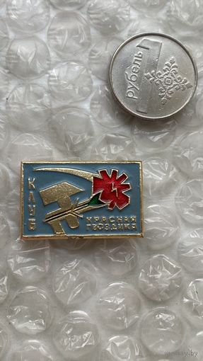 Значок Клуб Красная гвоздика