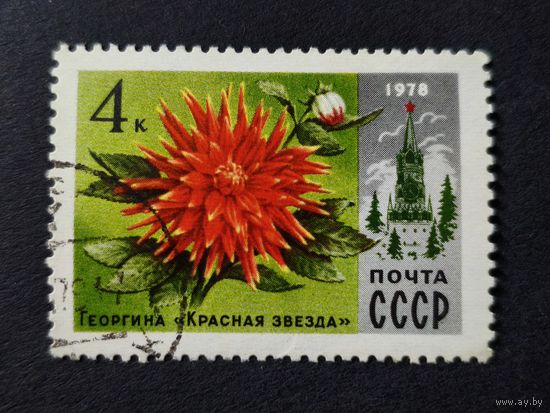 1978 СССР. Цветы Москвы. Георгина Красная звезда