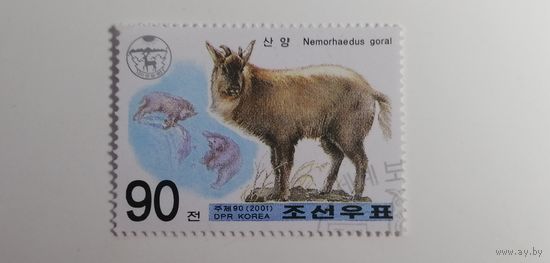 Корея 2001. Животные под защитой