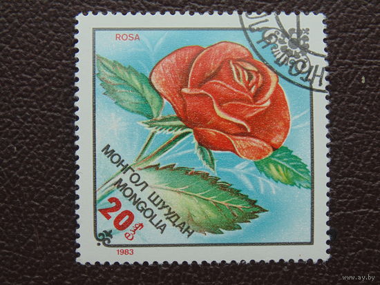 Монголия 1983 г. Роза.