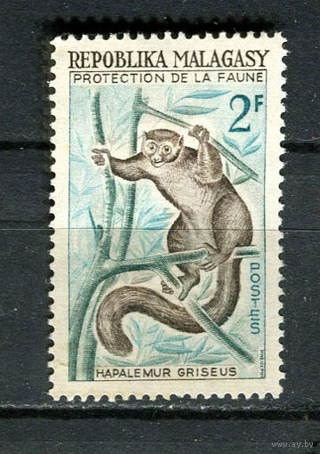 Малагасийская республика - 1961 - Лемуры 2Fr - [Mi.467] - 1 марка. MNH, MLH.  (Лот 29Fy)-T25P31