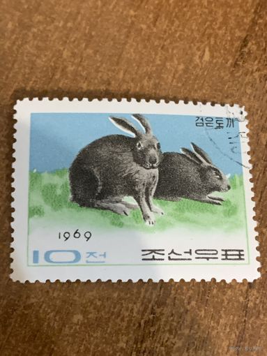 КНДР 1969. Кролики. Марка из серии