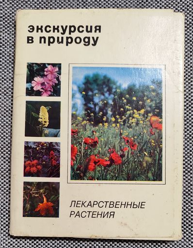 Набор открыток Экскурсия в природу. Лекарственные растения. 1