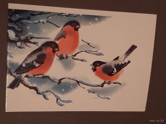 Чистая. Двойная. С Новым Годом! Снегири Каневский 1987 г.