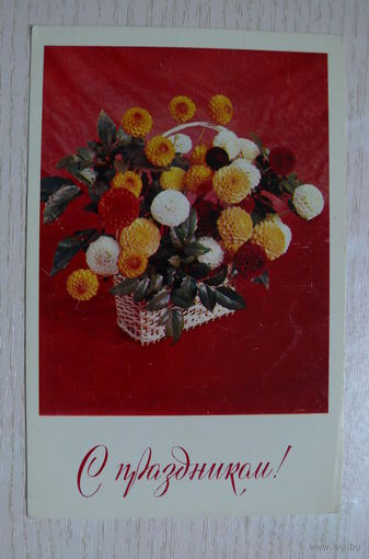 Вартапенян Н., Нессонова И., С праздником! 1976, чистая (размер 9*14).