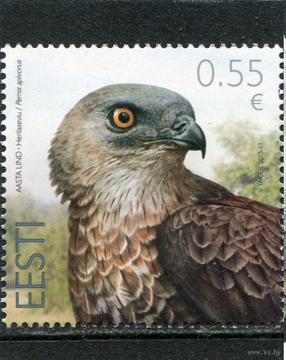 2015. Эстония. 599. Птицы. Канюк (Осоед). MNH **
