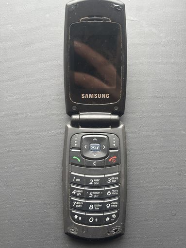 Мобильный телефон Samsung SGH X160