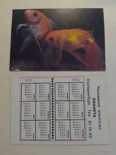 Карманный календарик. Аквариумные рыбы.1992 год