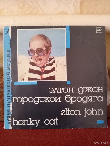 Виниловая пластинка