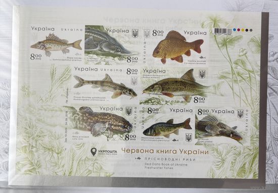 Украина 2019 Красная книга . Фауна . Рыбы. Блок беззубцовый