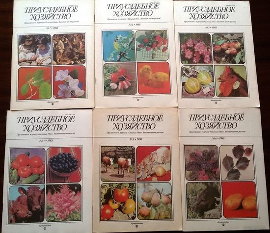 Приусадебное хозяйство за 1988г-6шт