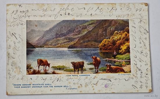 1909 год Открытка