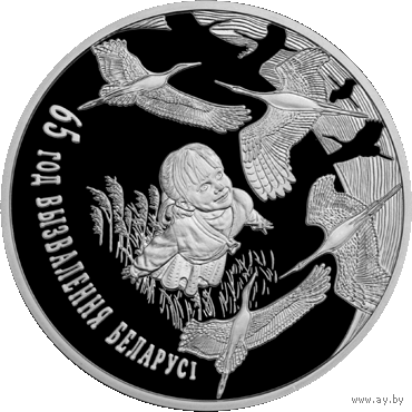 65 лет освобождения Беларуси от немецко – фашистских захватчиков, 20 рублей, 2009 год