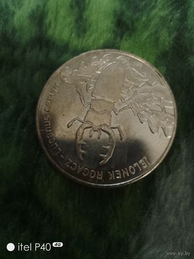 20 злотых,жук рогач