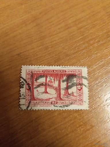 Французская колония Алжир флора (4-12)